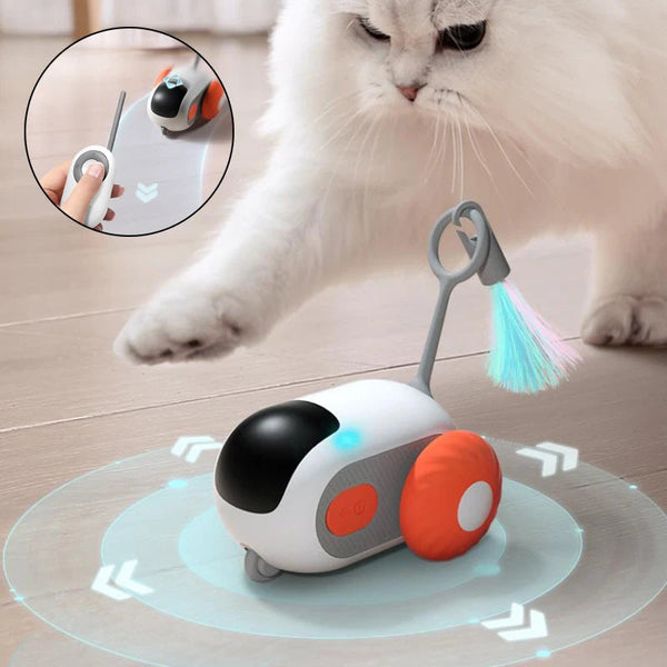 Interactive Cat Toy USB